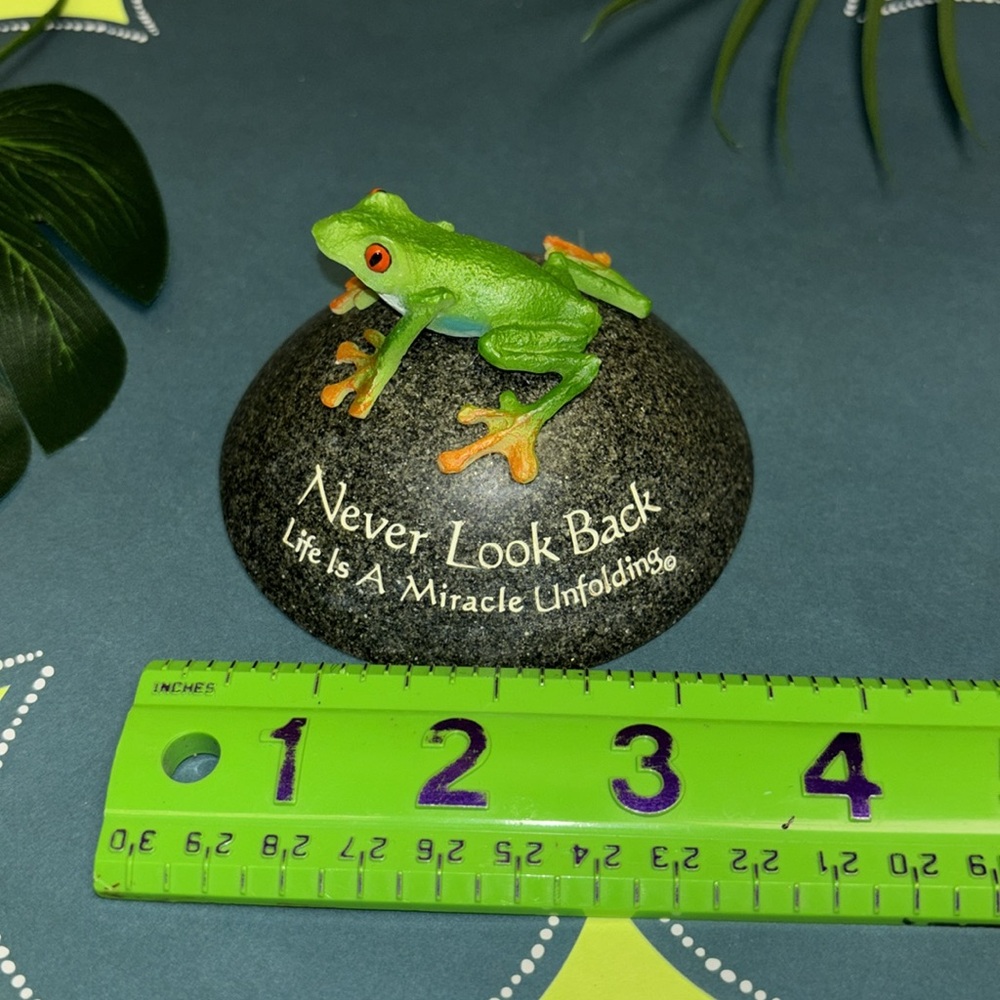 Frog Decor - Picture 5 of 6